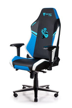 Load image into Gallery viewer, Secretlab OMEGA 2020