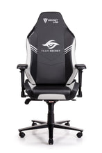 Load image into Gallery viewer, Secretlab OMEGA 2020