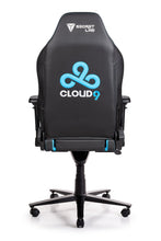 Load image into Gallery viewer, Secretlab OMEGA 2020