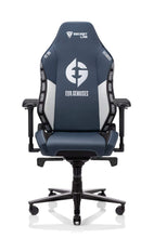 Load image into Gallery viewer, Secretlab OMEGA 2020