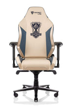 Load image into Gallery viewer, Secretlab OMEGA 2020