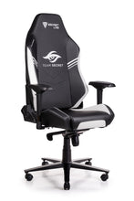 Load image into Gallery viewer, Secretlab OMEGA 2018

