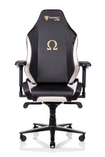 Load image into Gallery viewer, Secretlab OMEGA 2020
