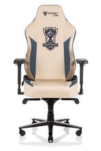 Load image into Gallery viewer, Secretlab TITAN 2020
